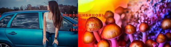 дмт Горняк