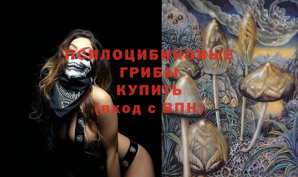 дмт Горняк
