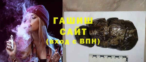 молекула духа Вяземский