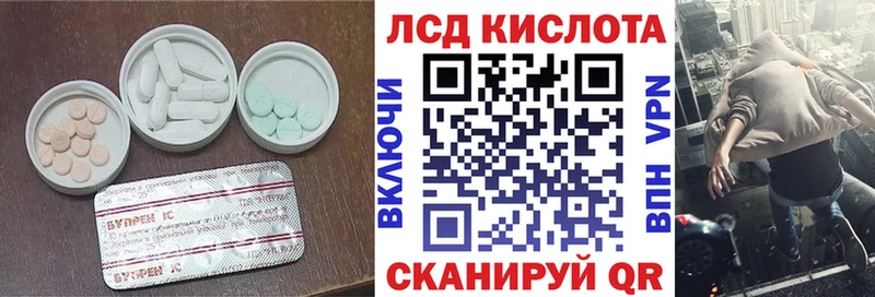 Купить закладки  Новоржев  Лсд 25 экстази кислота 