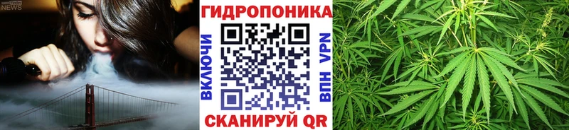 Марихуана OG Kush  Купить  Новоржев 